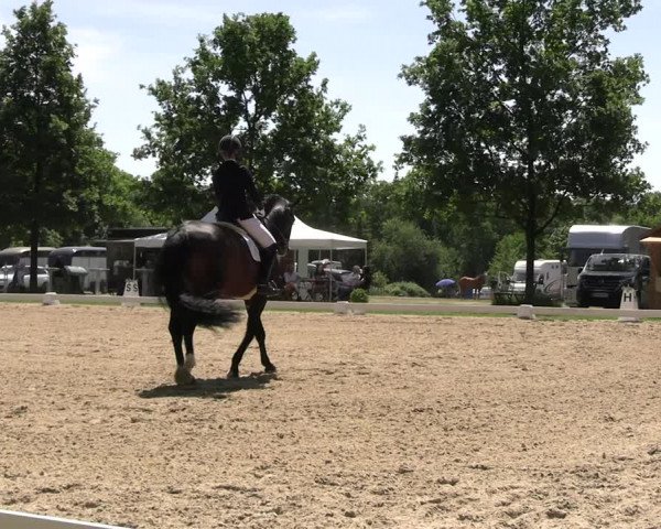 Reitturnier Derbypark Hamburg Klein-Flottbek 2023