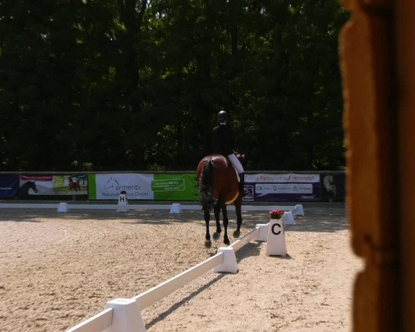 Reitturnier Ruhlsdorf 2023