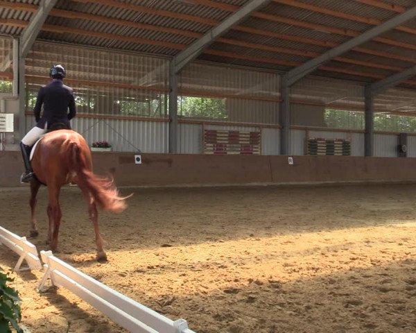 Reitturnier Dortmund-Somborn 2023