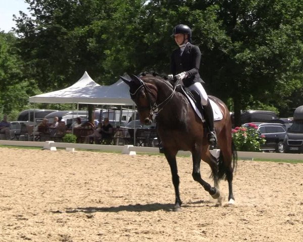 Reitturnier Derbypark Hamburg Klein-Flottbek 2023