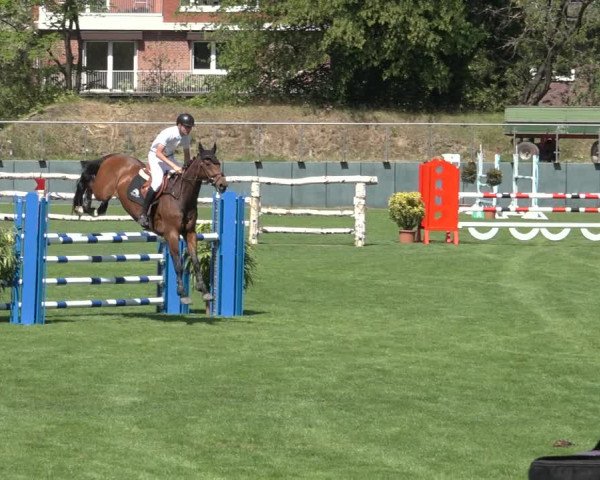 Reitturnier Derbypark Hamburg Klein-Flottbek 2023
