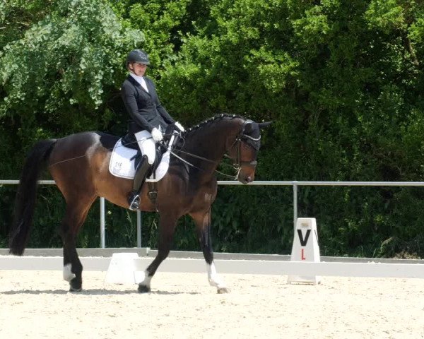 Reitturnier Blaubeuren 2023