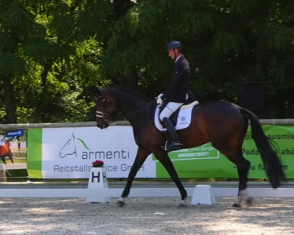 Reitturnier Ruhlsdorf 2023