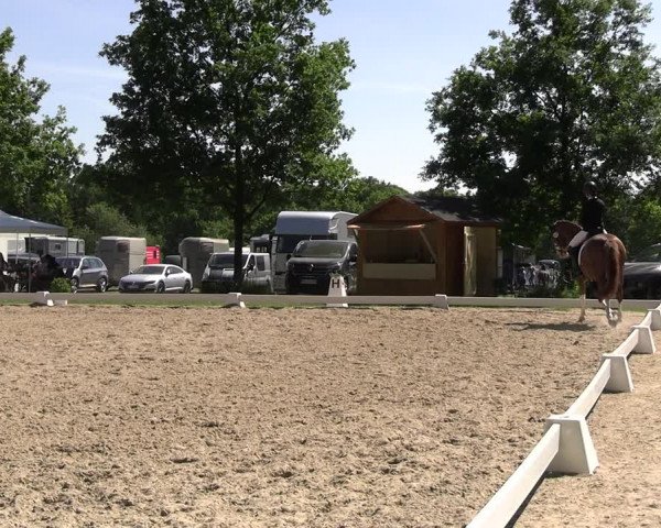 Reitturnier Derbypark Hamburg Klein-Flottbek 2023
