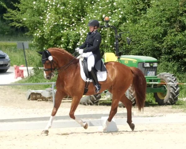 Reitturnier Blaubeuren 2023