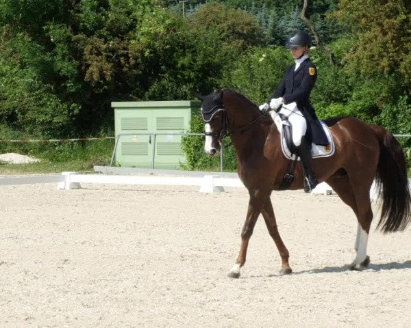 Reitturnier Blaubeuren 2023