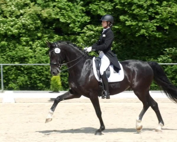 Reitturnier Blaubeuren 2023