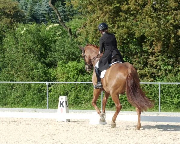Reitturnier Blaubeuren 2023