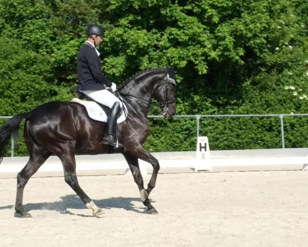 Reitturnier Blaubeuren 2023
