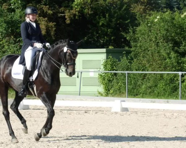 Reitturnier Blaubeuren 2023