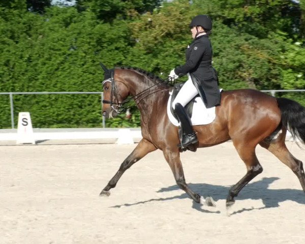 Reitturnier Blaubeuren 2023
