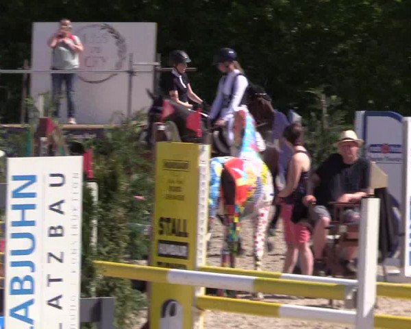 Reitturnier Großenwiehe 2023