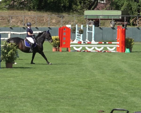 Reitturnier Derbypark Hamburg Klein-Flottbek 2023
