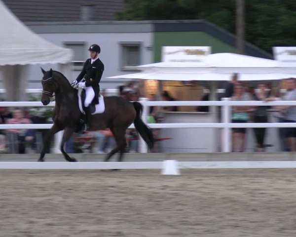 Reitturnier Dortmund-Somborn 2023