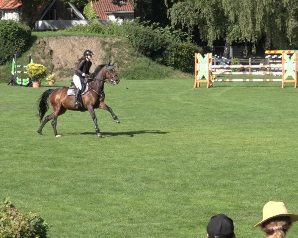 Reitturnier Derbypark Hamburg Klein-Flottbek 2023