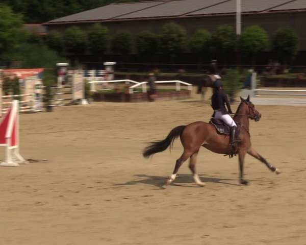 Reitturnier Schönfeld 2023