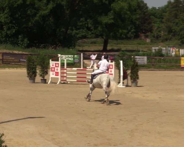 Reitturnier Schönfeld 2023