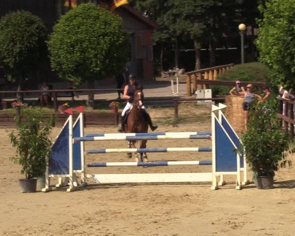 Reitturnier Schönfeld 2023