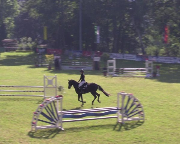 Reitturnier Lengenfeld/Vogtl. 2023