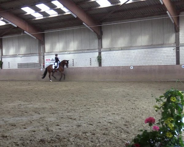 Reitturnier Dortmund-Somborn 2023