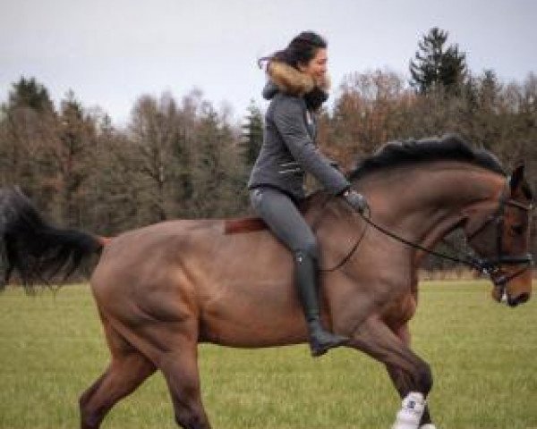 Nadine Weigerding