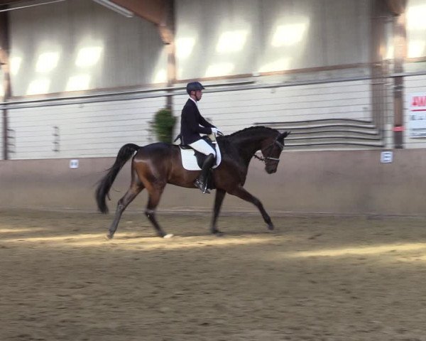 Reitturnier Dortmund-Somborn 2023