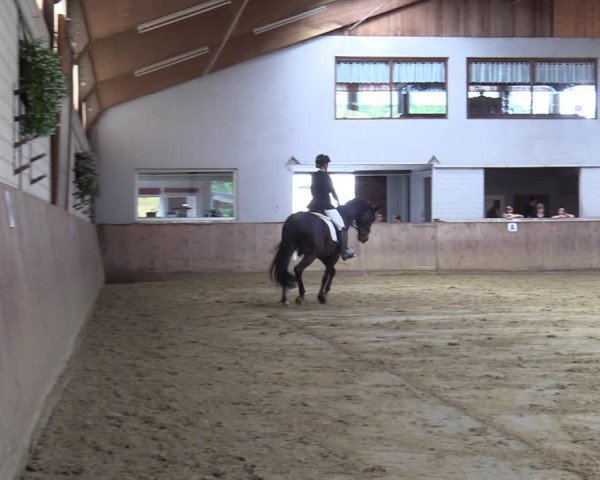 Reitturnier Dortmund-Somborn 2023