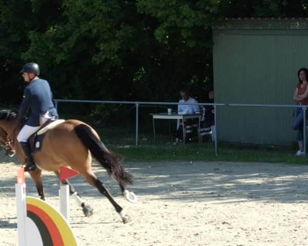 Reitturnier Blaubeuren 2023
