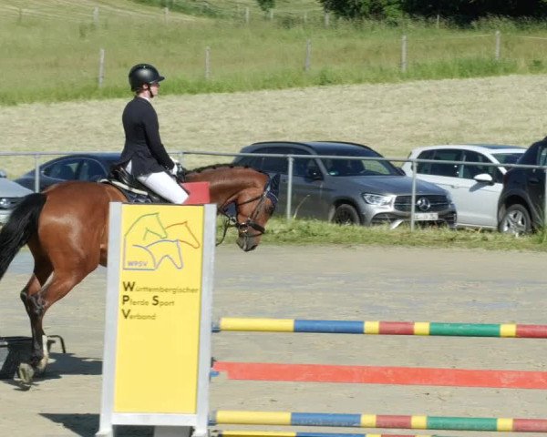Reitturnier Blaubeuren 2023