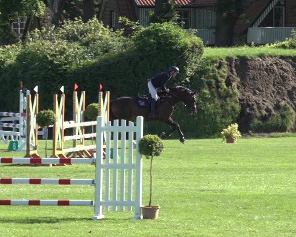 Reitturnier Derbypark Hamburg Klein-Flottbek 2023
