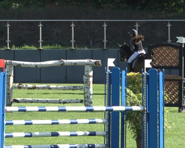 Reitturnier Derbypark Hamburg Klein-Flottbek 2023