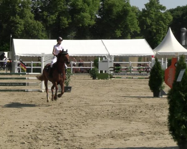 Reitturnier Dortmund-Somborn 2023