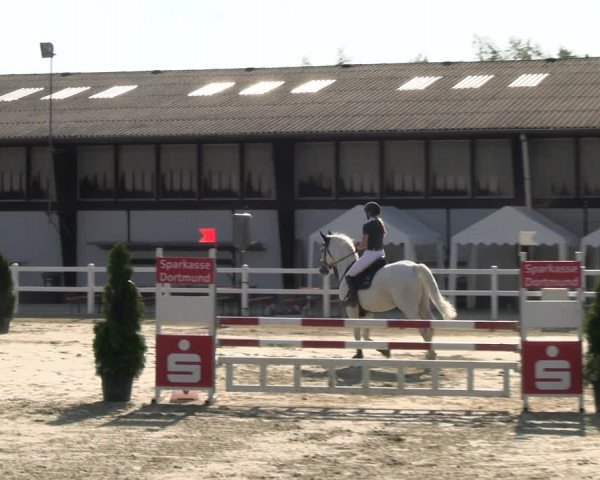 Reitturnier Dortmund-Somborn 2023