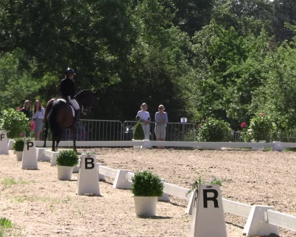 Reitturnier Derbypark Hamburg Klein-Flottbek 2023