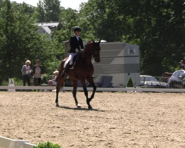 Reitturnier Derbypark Hamburg Klein-Flottbek 2023