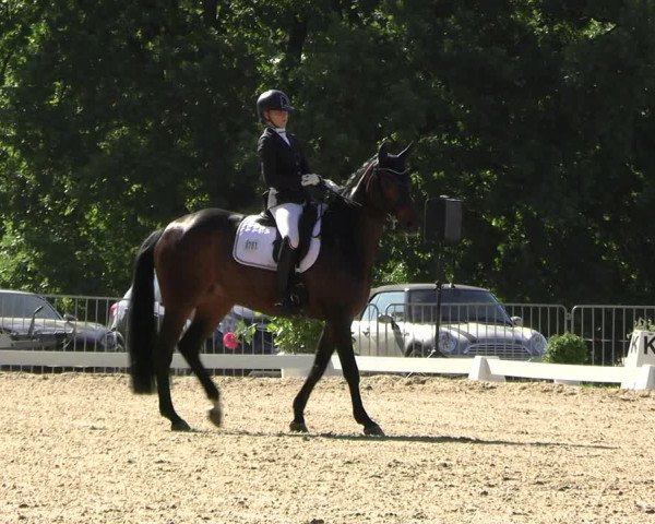 Reitturnier Derbypark Hamburg Klein-Flottbek 2023