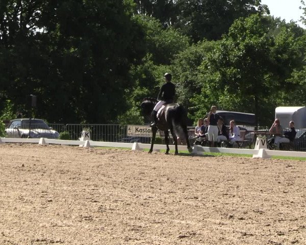 Reitturnier Derbypark Hamburg Klein-Flottbek 2023