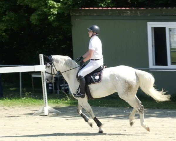 Reitturnier Blaubeuren 2023