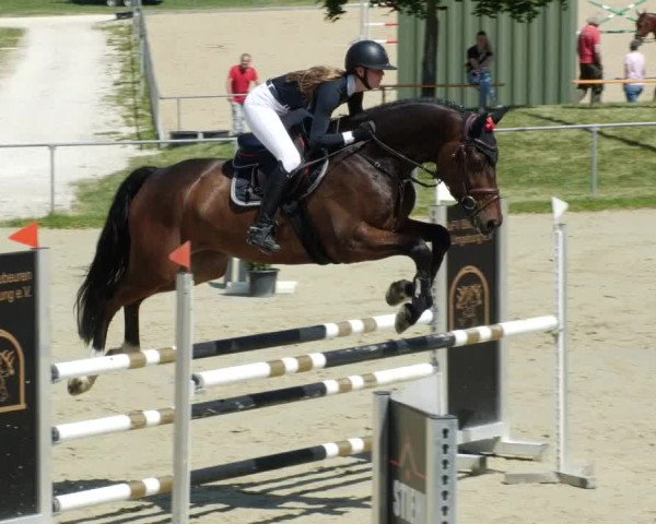 Reitturnier Blaubeuren 2023
