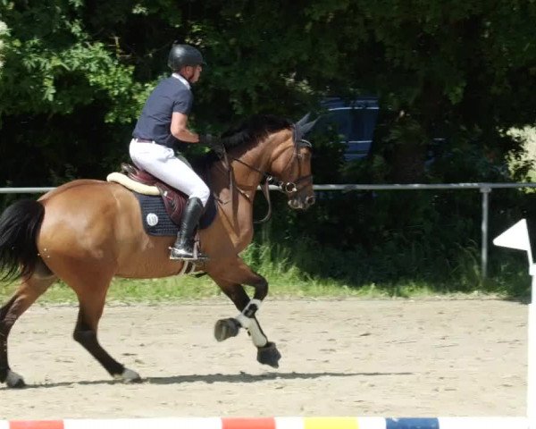 Reitturnier Blaubeuren 2023