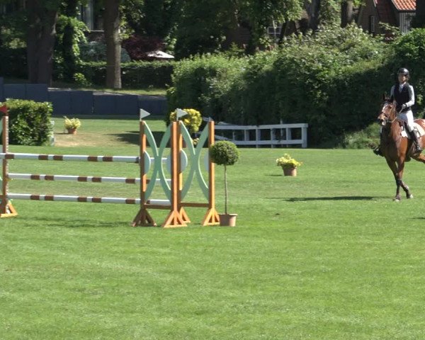 Reitturnier Derbypark Hamburg Klein-Flottbek 2023