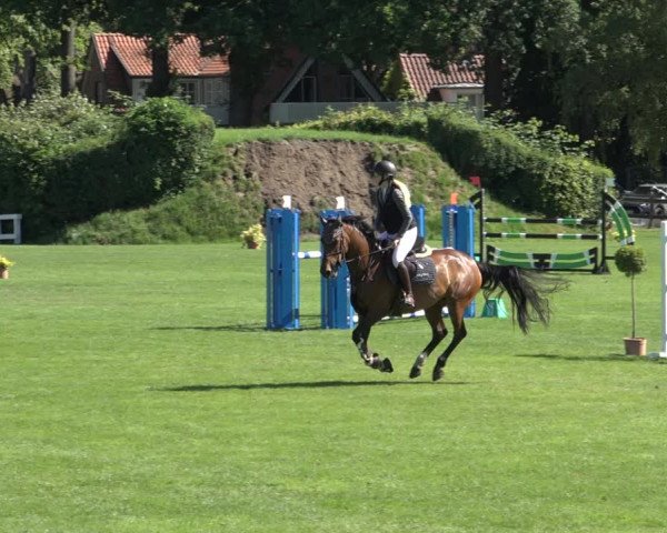 Reitturnier Derbypark Hamburg Klein-Flottbek 2023