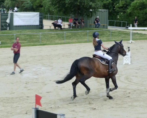 Reitturnier Blaubeuren 2023