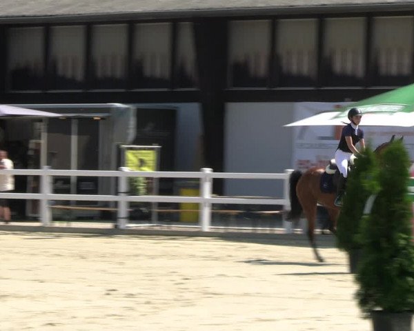 Reitturnier Dortmund-Somborn 2023