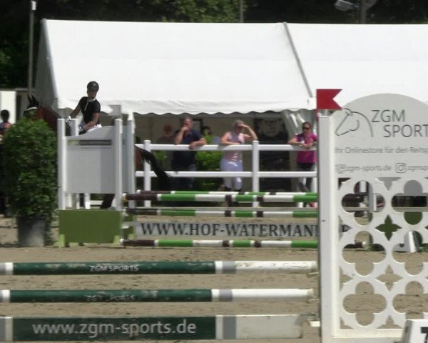 Reitturnier Dortmund-Somborn 2023