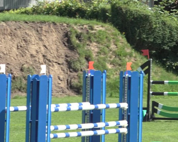 Reitturnier Derbypark Hamburg Klein-Flottbek 2023
