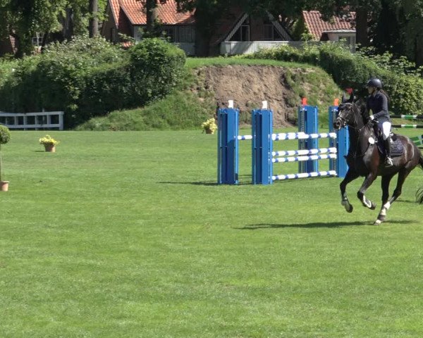 Reitturnier Derbypark Hamburg Klein-Flottbek 2023