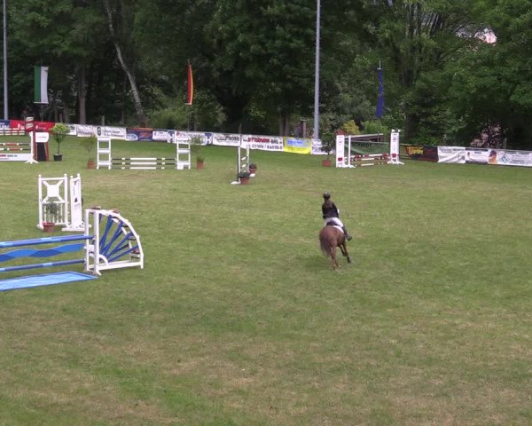 Reitturnier Lengenfeld/Vogtl. 2023