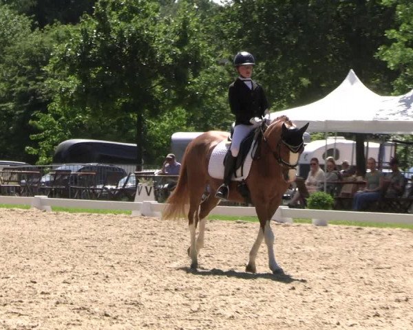 Reitturnier Derbypark Hamburg Klein-Flottbek 2023