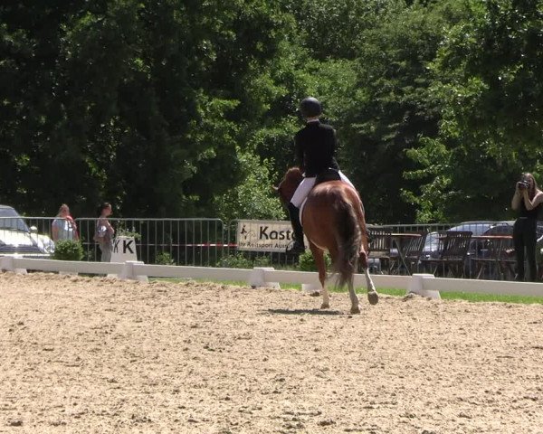 Reitturnier Derbypark Hamburg Klein-Flottbek 2023